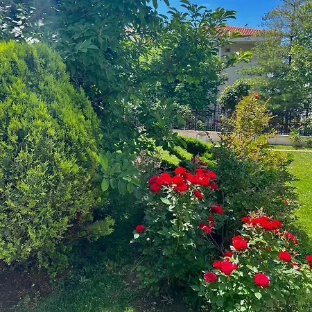 Marina K-s Triumph Appartamento *