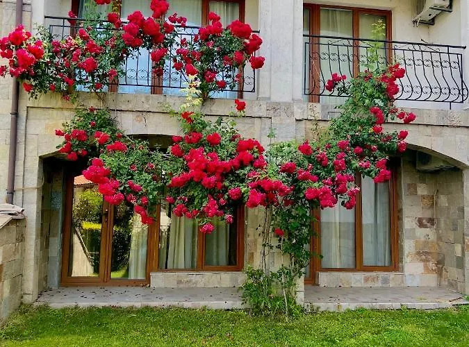 公寓 Marina K-s Triumph 圣弗拉斯