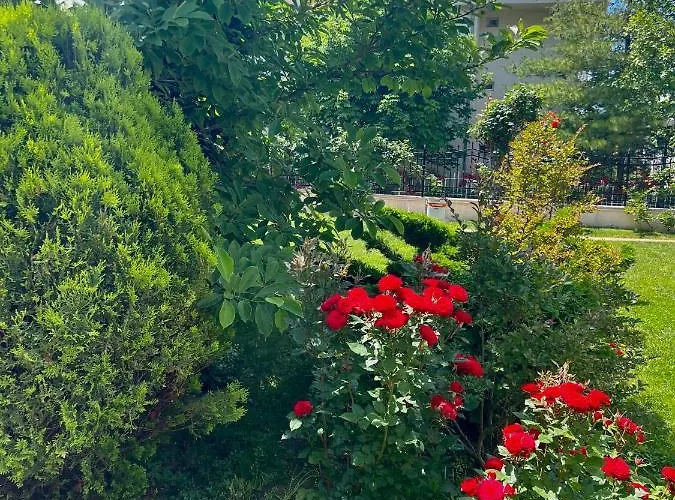 Marina K-s Triumph 公寓 *